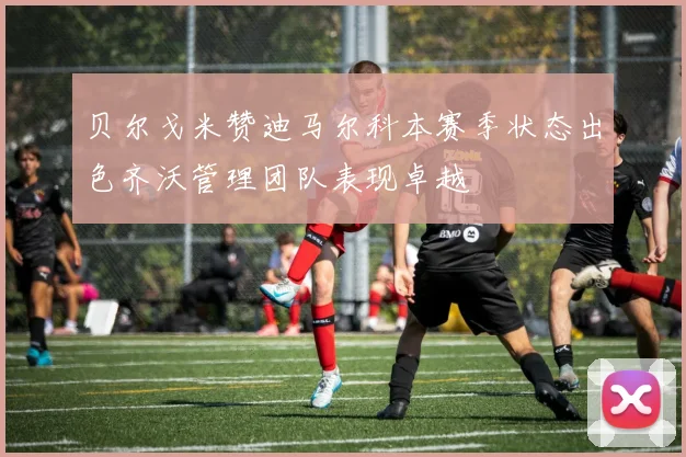 贝尔戈米赞迪马尔科本赛季状态出色齐沃管理团队表现卓越