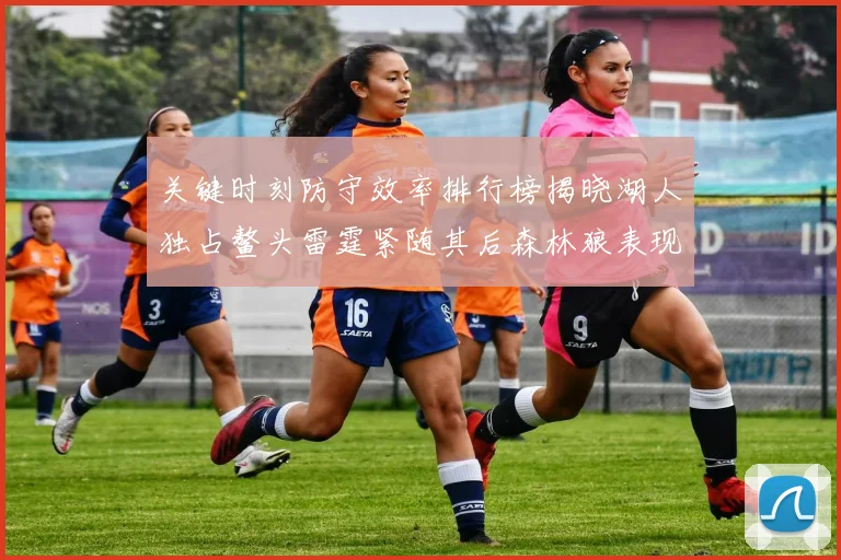 关键时刻防守效率排行榜揭晓湖人独占鳌头雷霆紧随其后森林狼表现不俗